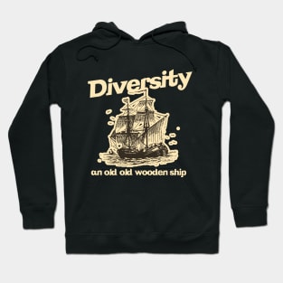 What is Diversity? Hoodie